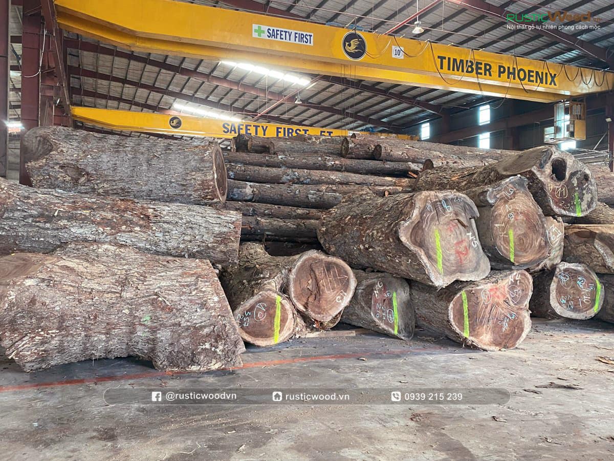 Đánh giá gỗ me tây sử dụng thực tế có tốt không ? | Rustic Wood